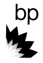 BP logo
