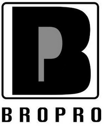 BP BROPRO logo