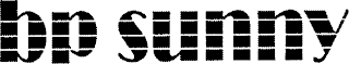 BP SUNNY logo