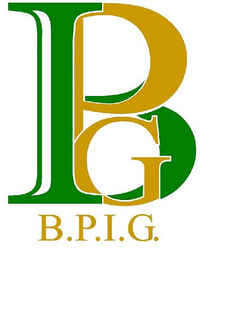 BPIG B.P.I.G. logo