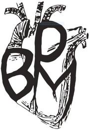 BPM logo