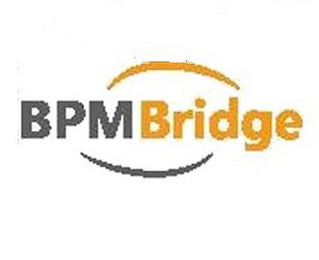 BPMBRIDGE logo