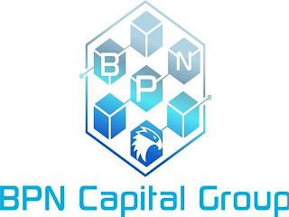 BPN CAPITAL GROUP logo