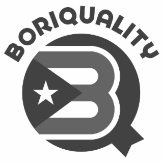BQ BORIQUALITY logo