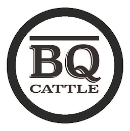 BQ CATTLE logo