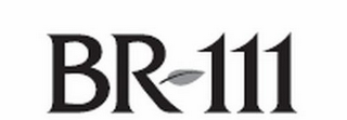 BR 111 logo