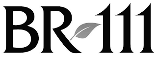 BR 111 logo