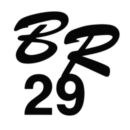 BR 29 logo