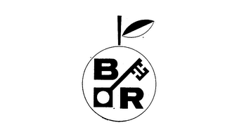 BR logo