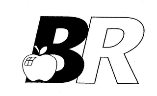 BR logo