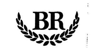 BR logo