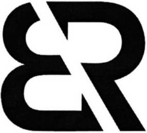 BR logo