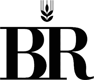 BR logo
