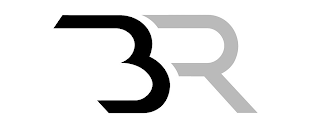 BR logo