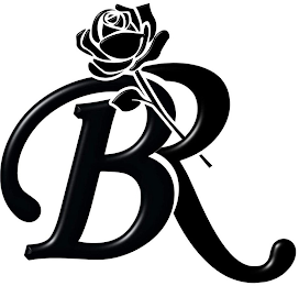 BR logo