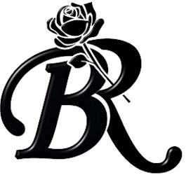 BR logo