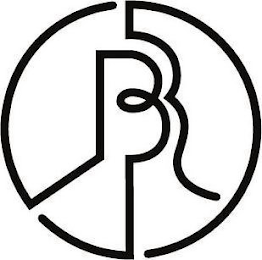 BR logo
