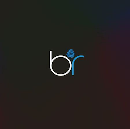 BR logo