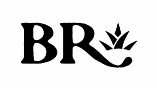 BR logo