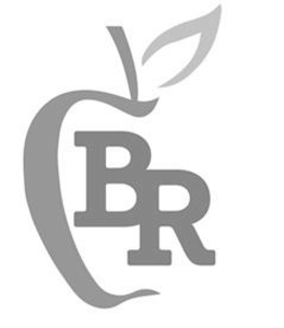 BR logo