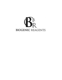 BR BIOGENIC REAGENTS logo