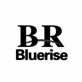 BR BLUERISE logo