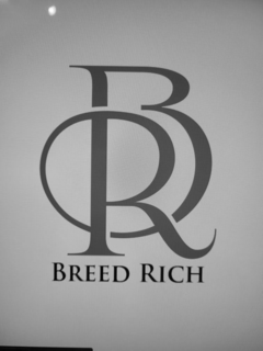 BR BREED RICH logo