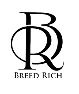 BR BREED RICH logo