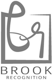 BR BROOK RECOGNITION logo