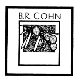 B.R. COHN logo