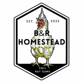 B&R HOMESTEAD FOIL HAT GANG EST. 2023 logo