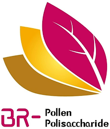 BR-POLLEN POLISACCARIDE logo
