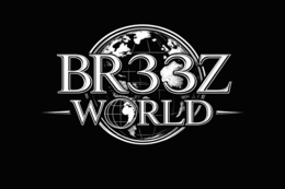 BR33Z WORLD logo