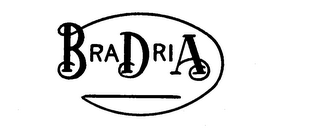 BRA DRI A logo