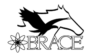 BRACE logo