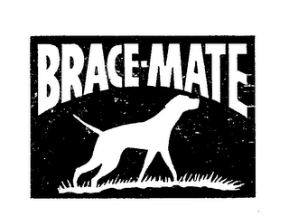 BRACE-MATE logo