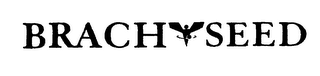 BRACHYSEED logo