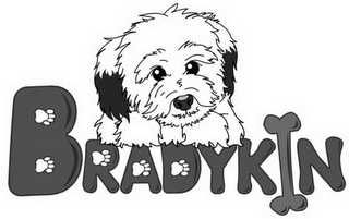 BRADYKIN logo