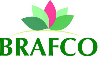 BRAFCO logo