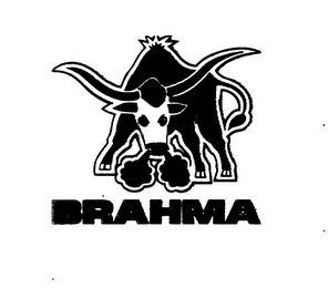 BRAHMA logo