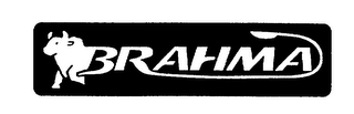 BRAHMA logo