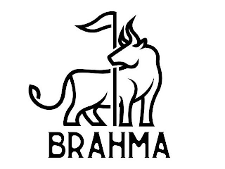 BRAHMA logo