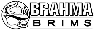 BRAHMA BRIMS logo