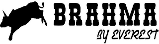 BRAHMA BY EVEREST logo