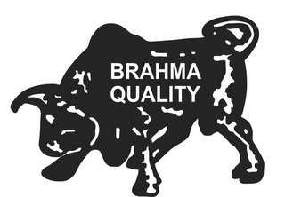 BRAHMA QUALITY logo