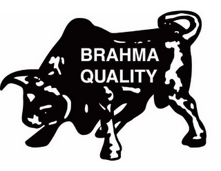BRAHMA QUALITY logo