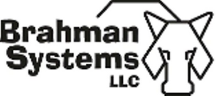 BRAHMAN SYSTEMS LLC logo