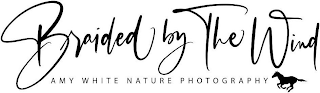 BRAIDED BY THE WIND AMY WHITE NATURE PHOTOGRAPHY logo