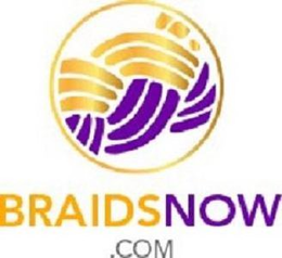 BRAIDSNOW.COM logo