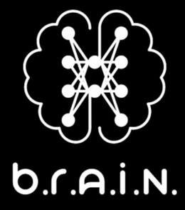B.R.A.I.N. logo